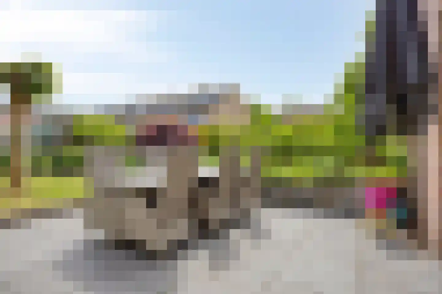 Rozentuin 22 Houten thumbnail 43