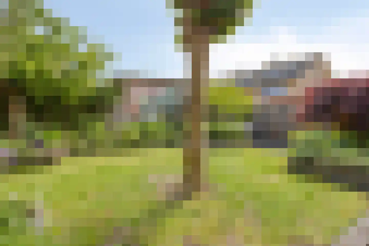 Rozentuin 22 Houten thumbnail 46
