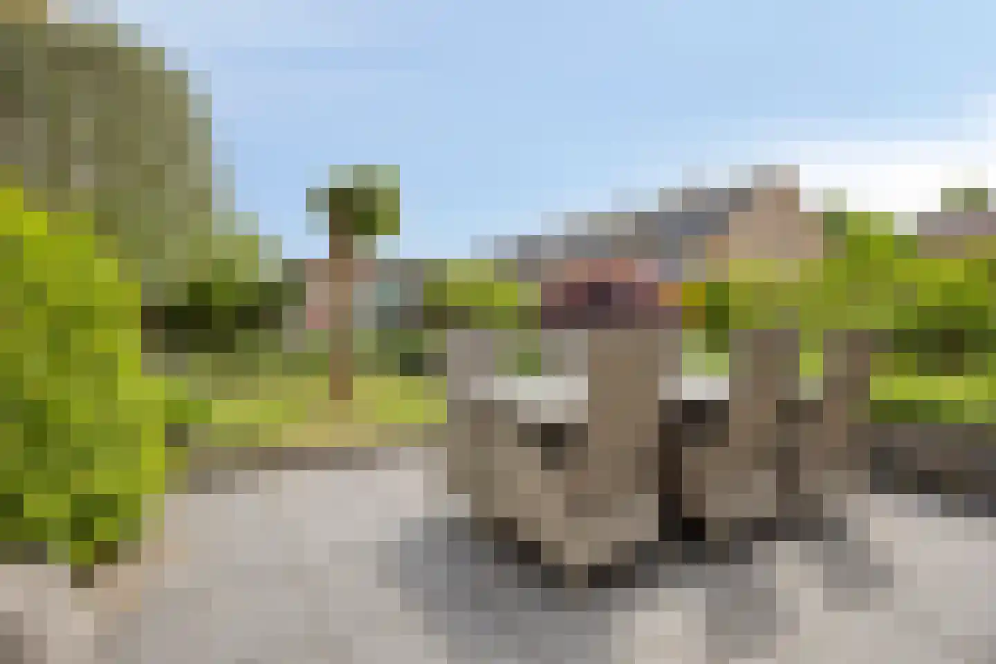Rozentuin 22 Houten thumbnail 47
