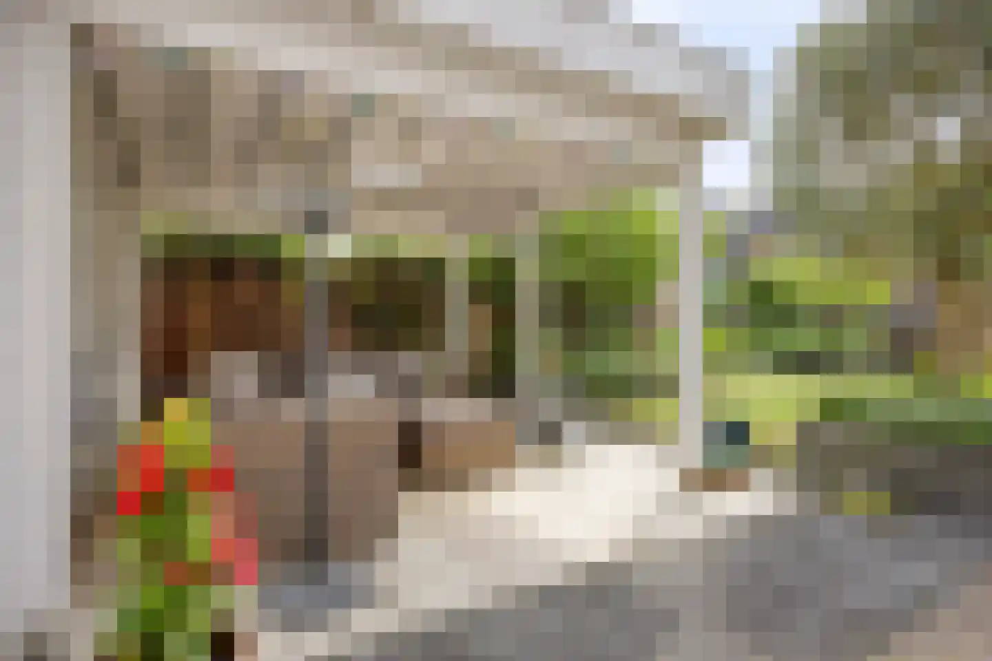Rozentuin 22 Houten thumbnail 49