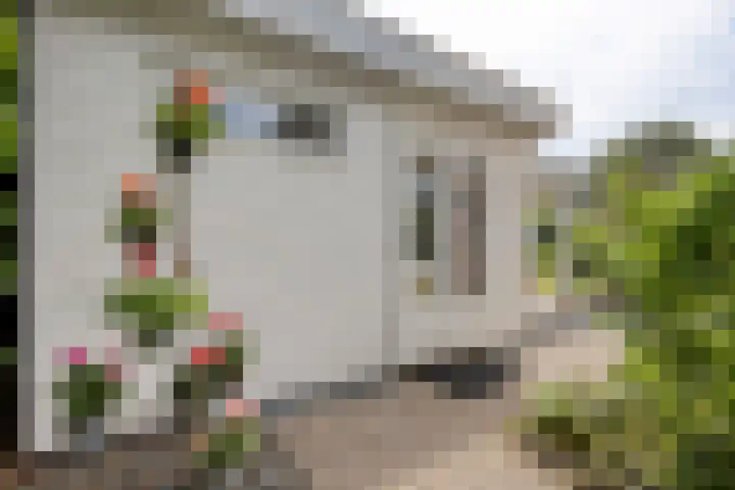 Rozentuin 22 Houten thumbnail 50