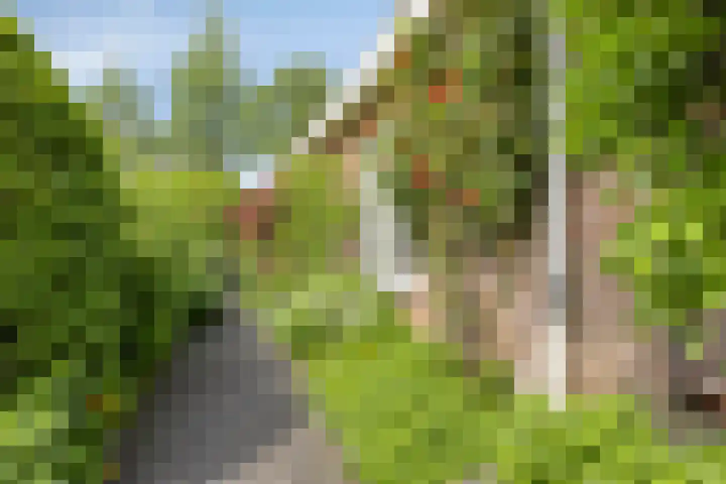 Rozentuin 22 Houten thumbnail 54