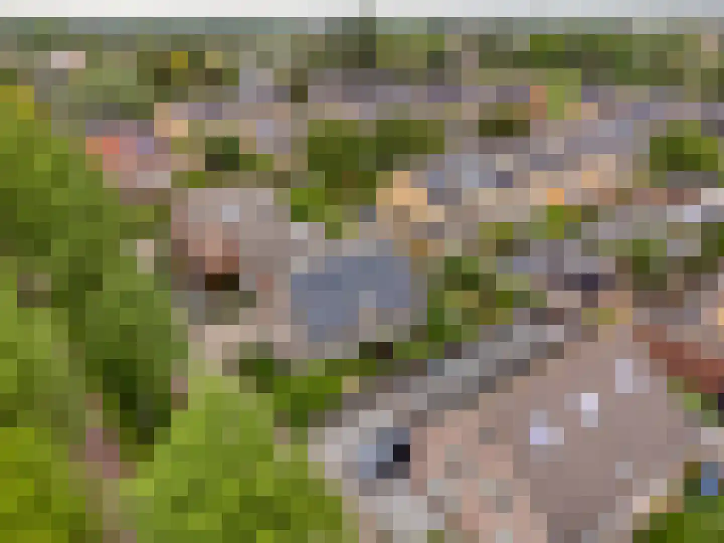 Rozentuin 22 Houten thumbnail 59