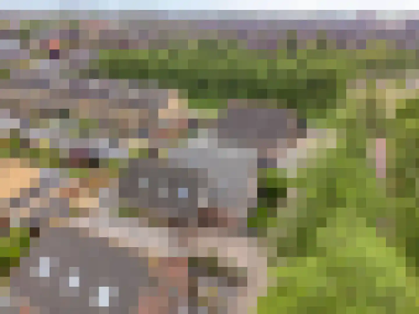 Rozentuin 22 Houten thumbnail 60