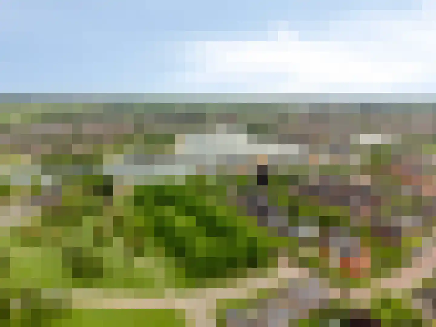 Rozentuin 22 Houten thumbnail 65