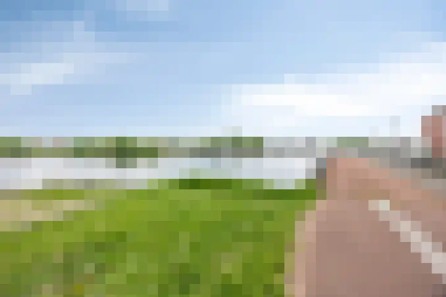 Rozentuin 22 Houten thumbnail 67