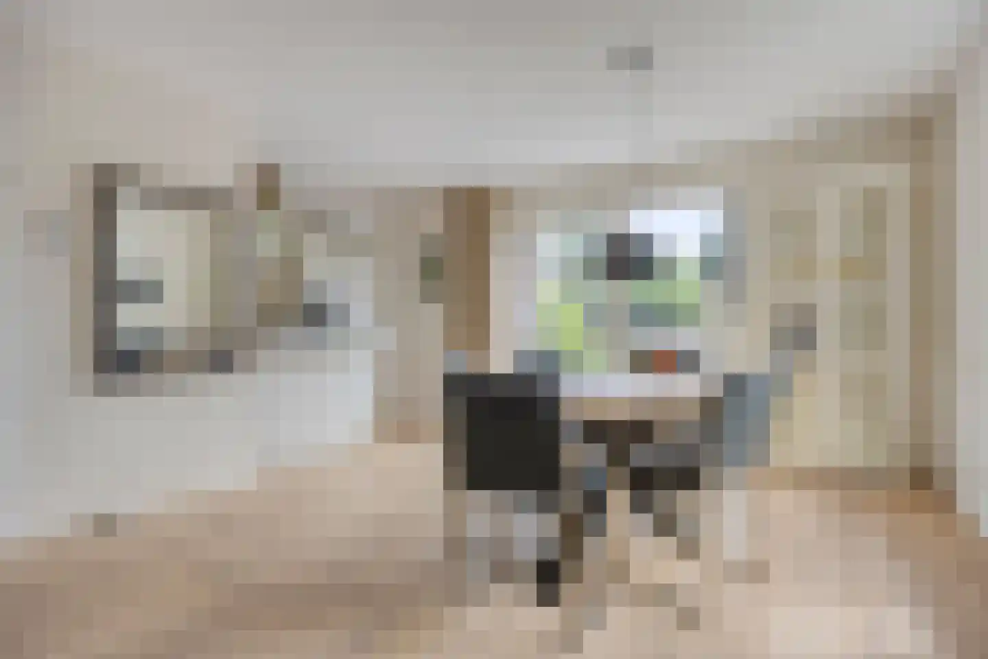 Rozentuin 22 Houten thumbnail 8