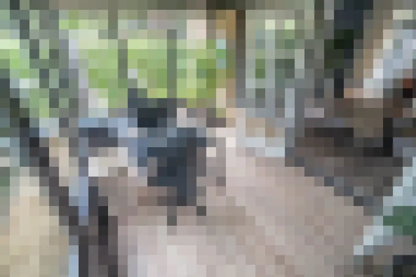 Rozentuin 230 Voorburg thumbnail 12