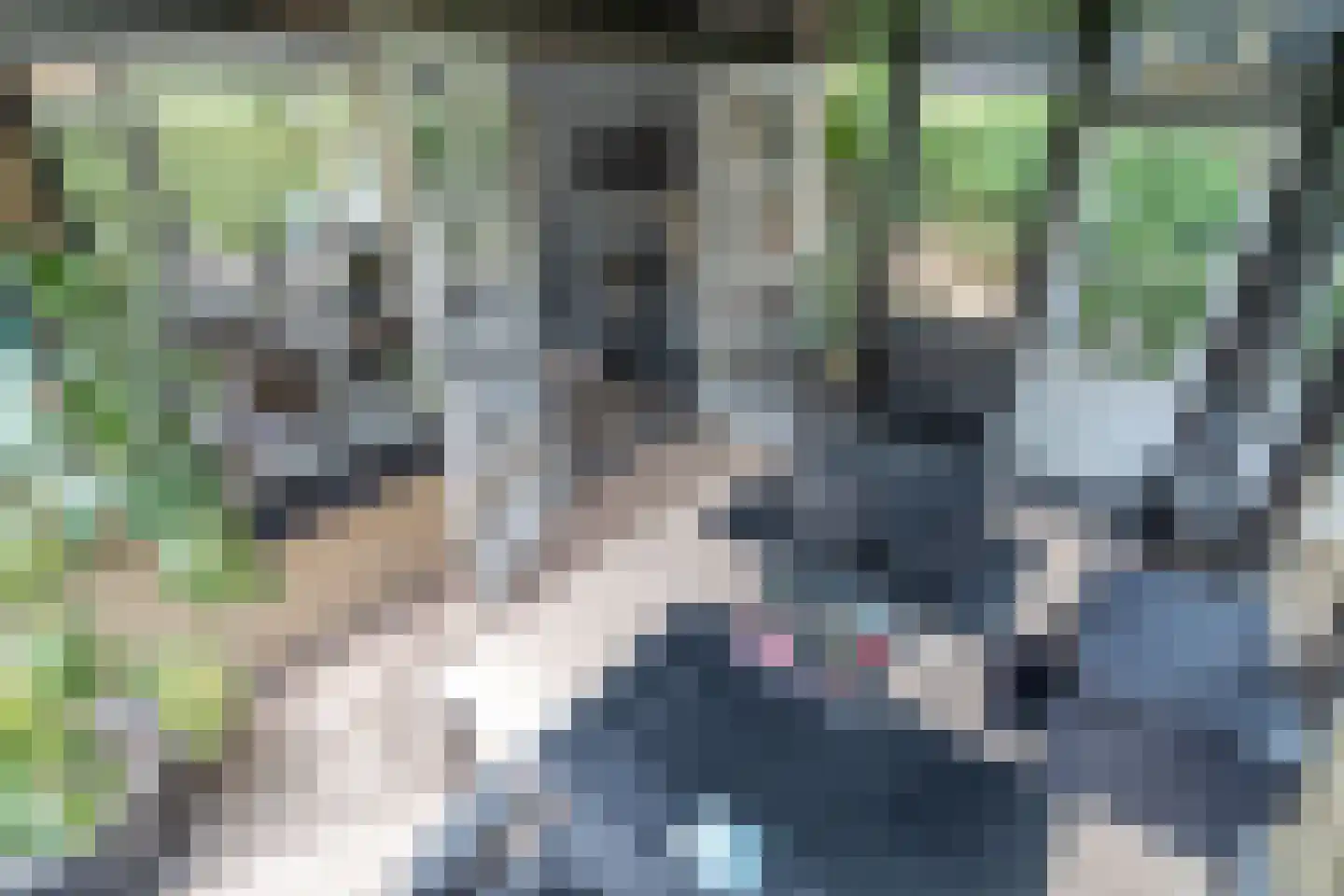 Rozentuin 230 Voorburg thumbnail 13