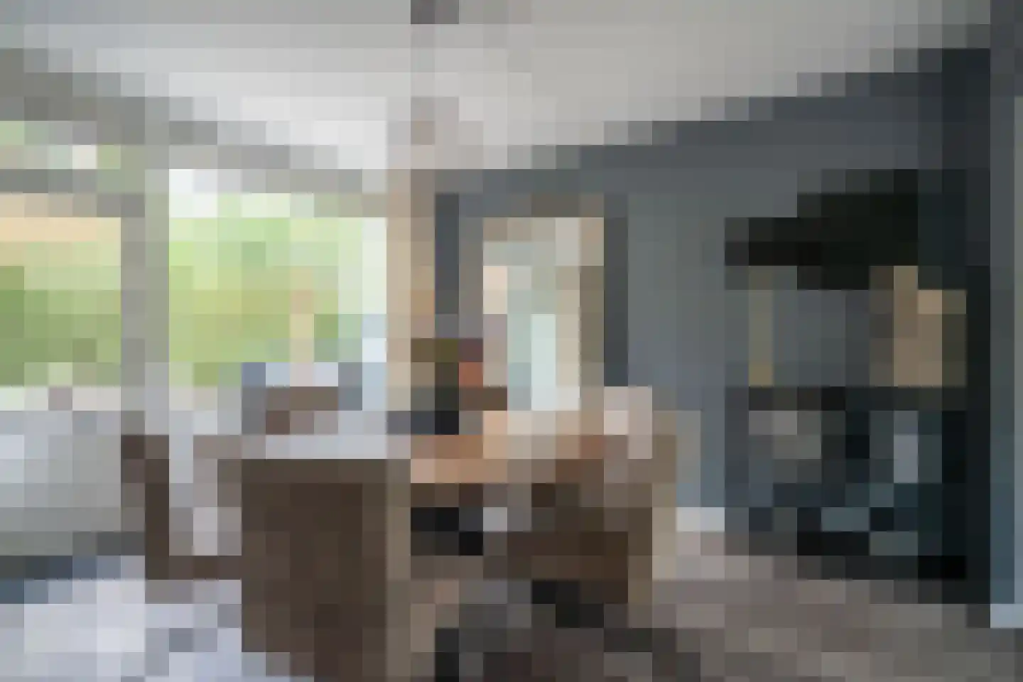 Rozentuin 230 Voorburg thumbnail 14