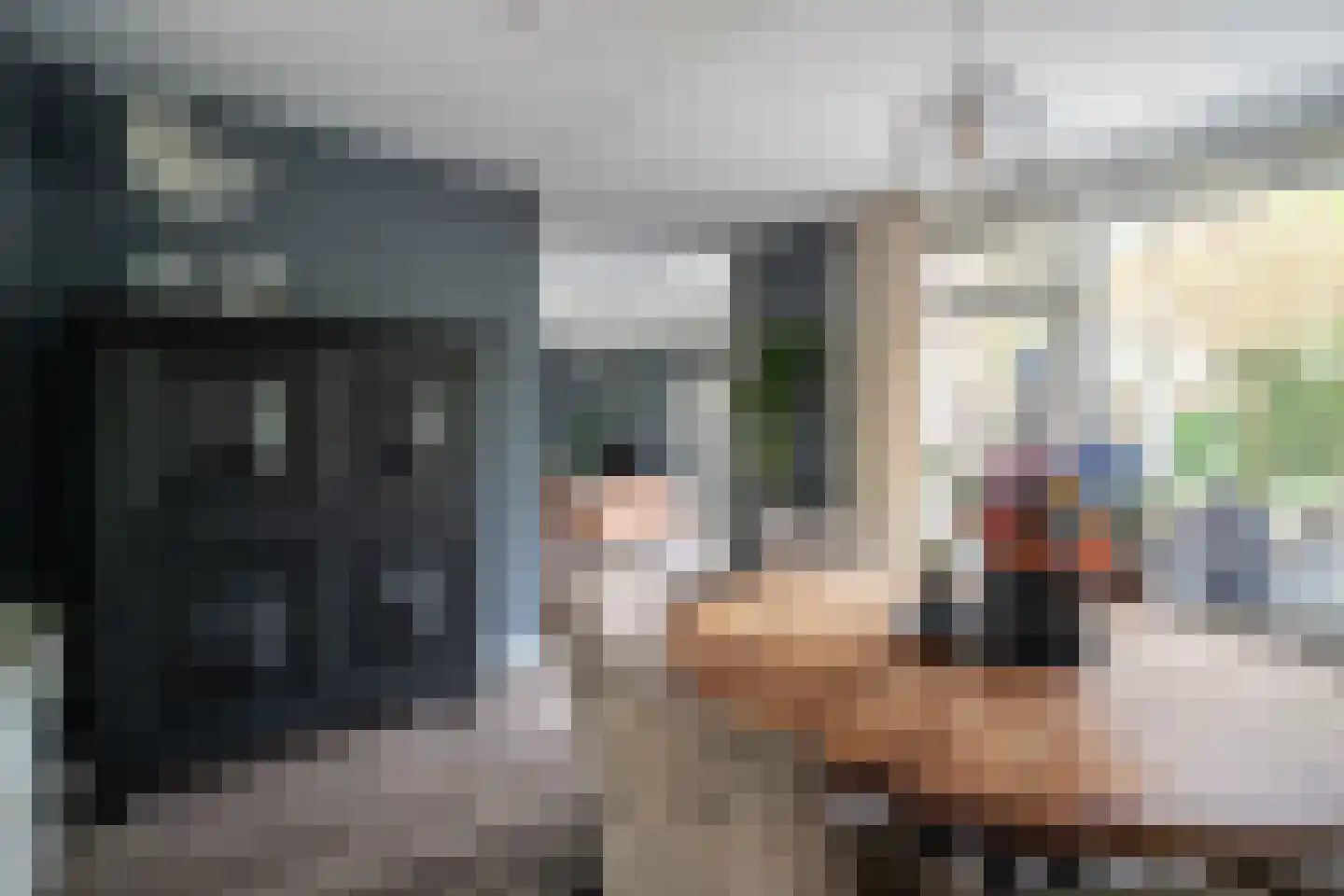 Rozentuin 230 Voorburg thumbnail 15