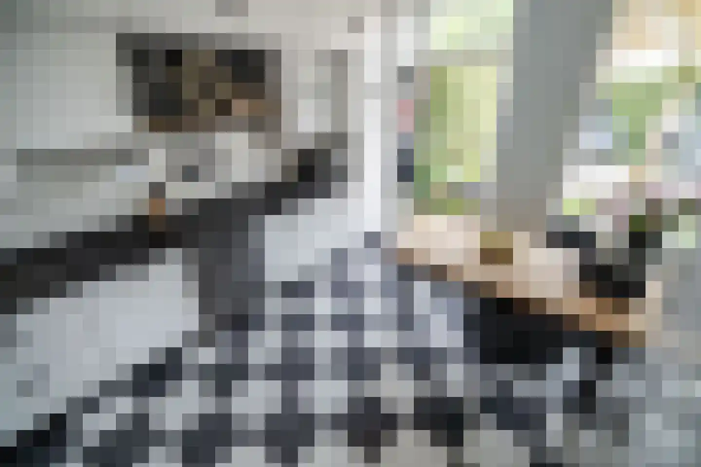 Rozentuin 230 Voorburg thumbnail 19