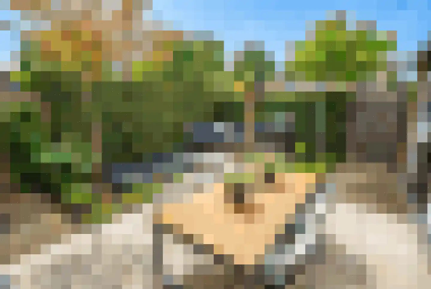 Rozentuin 230 Voorburg thumbnail 20