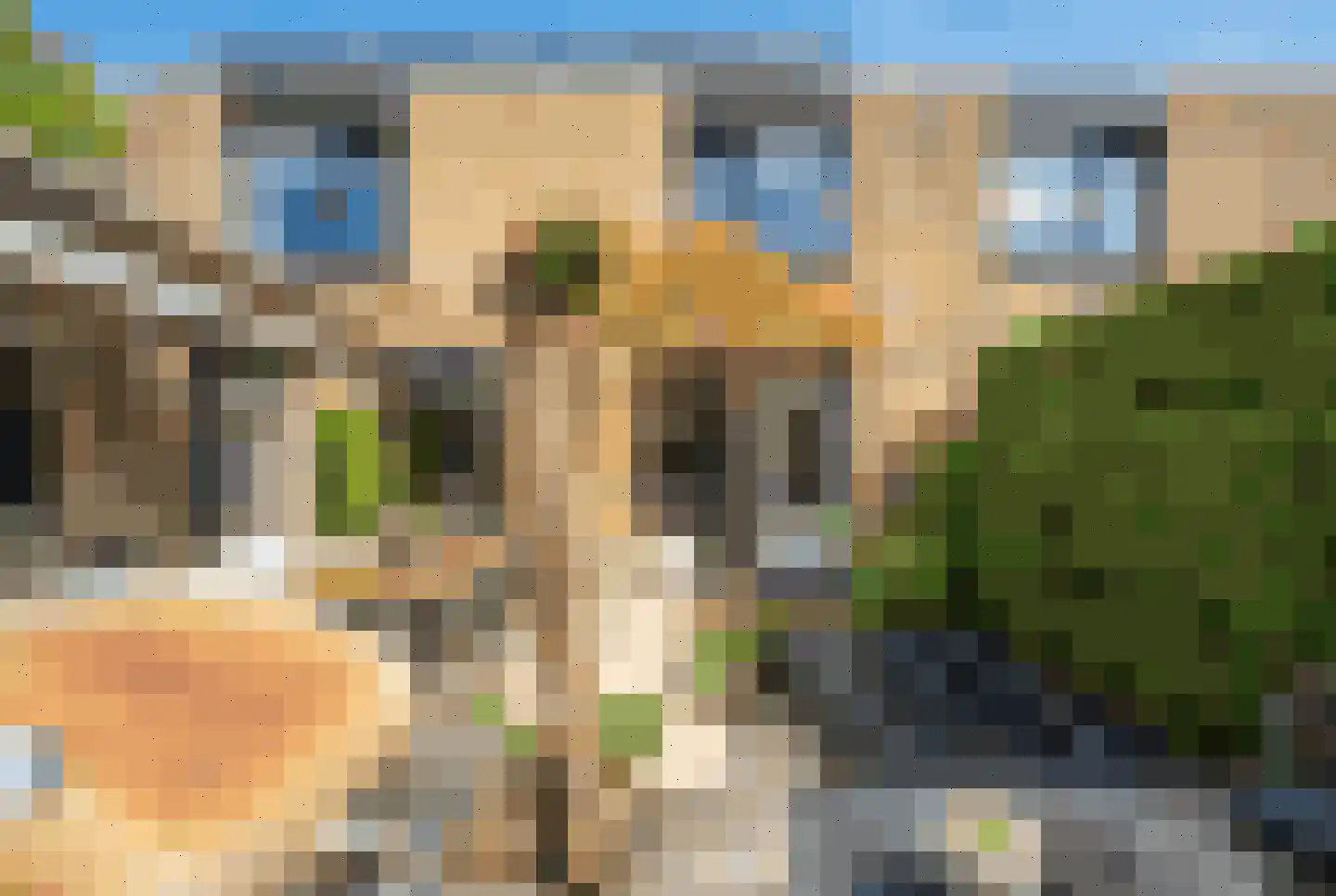 Rozentuin 230 Voorburg thumbnail 22