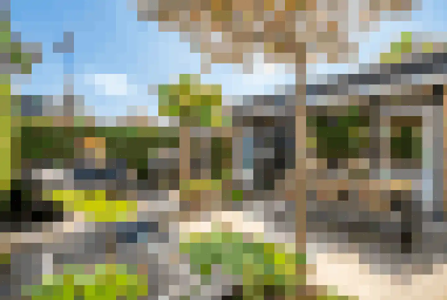 Rozentuin 230 Voorburg thumbnail 23