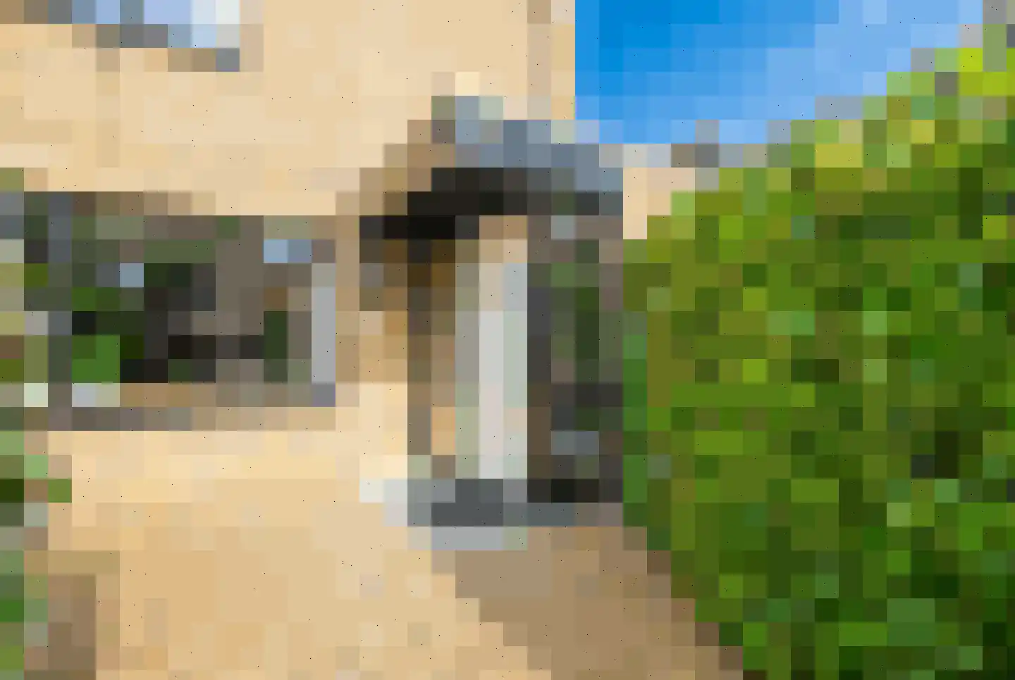 Rozentuin 230 Voorburg thumbnail 29