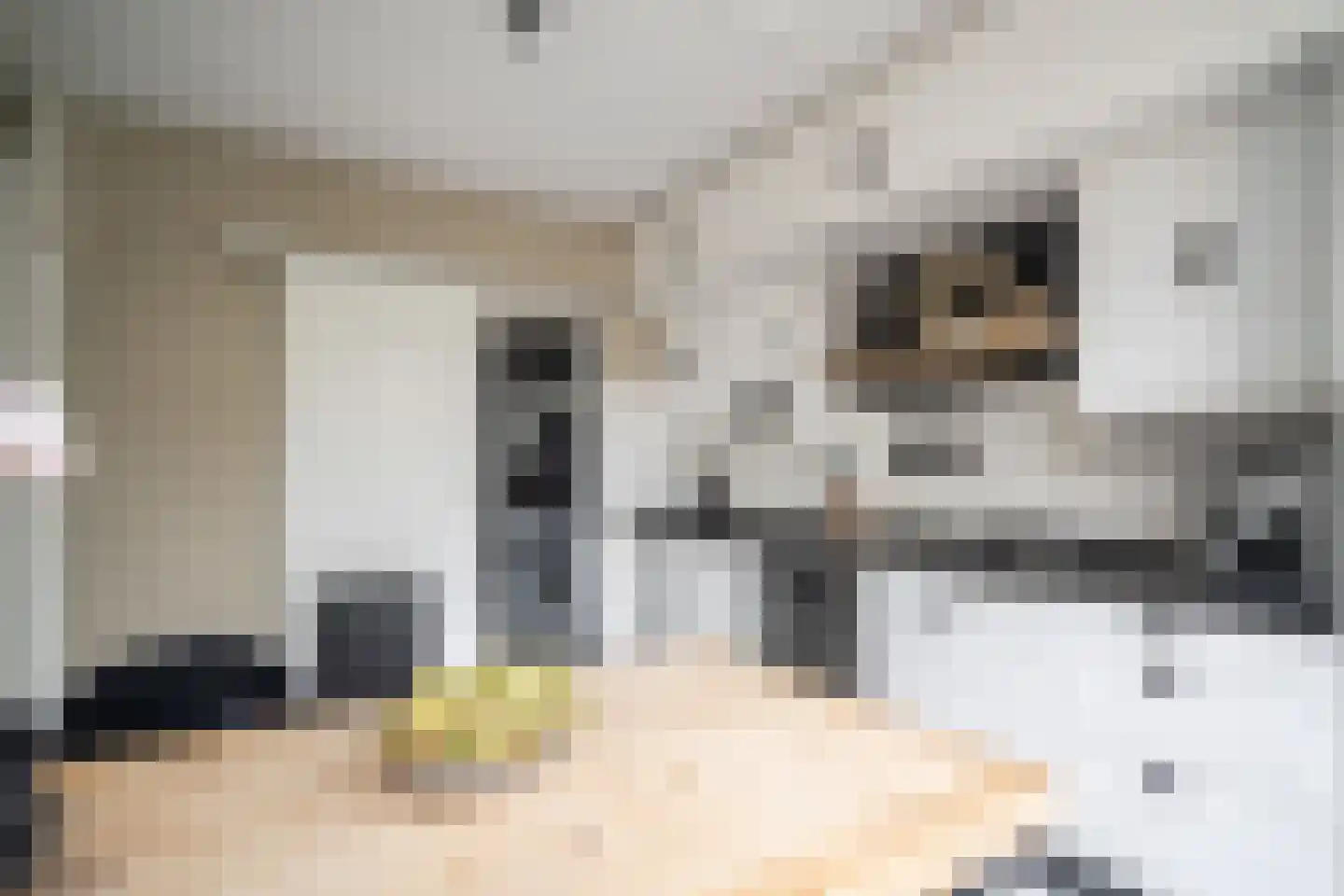 Rozentuin 230 Voorburg thumbnail 30