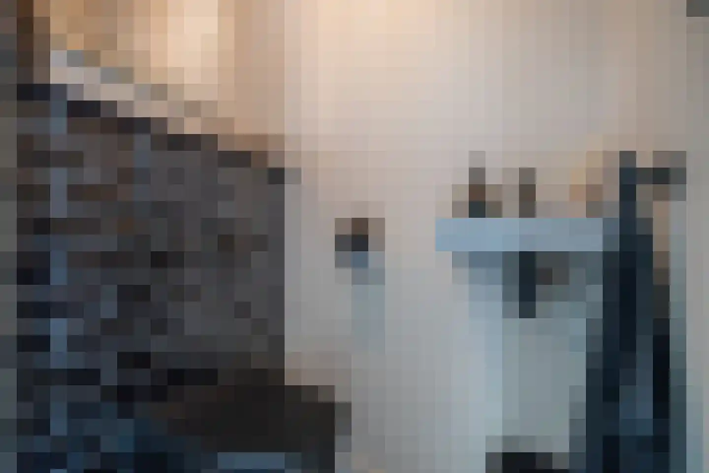 Rozentuin 230 Voorburg thumbnail 32