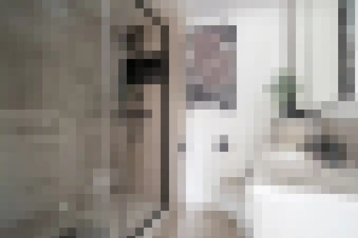 Rozentuin 230 Voorburg thumbnail 38