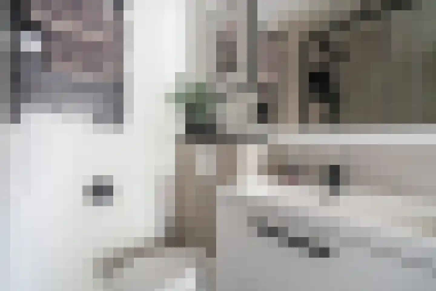 Rozentuin 230 Voorburg thumbnail 39