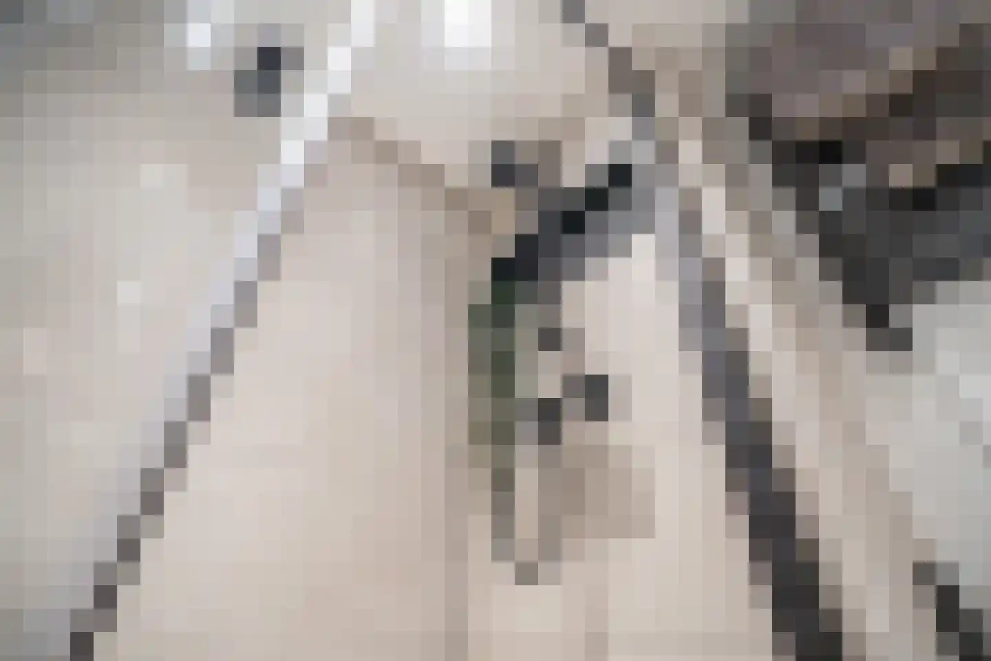 Rozentuin 230 Voorburg thumbnail 41