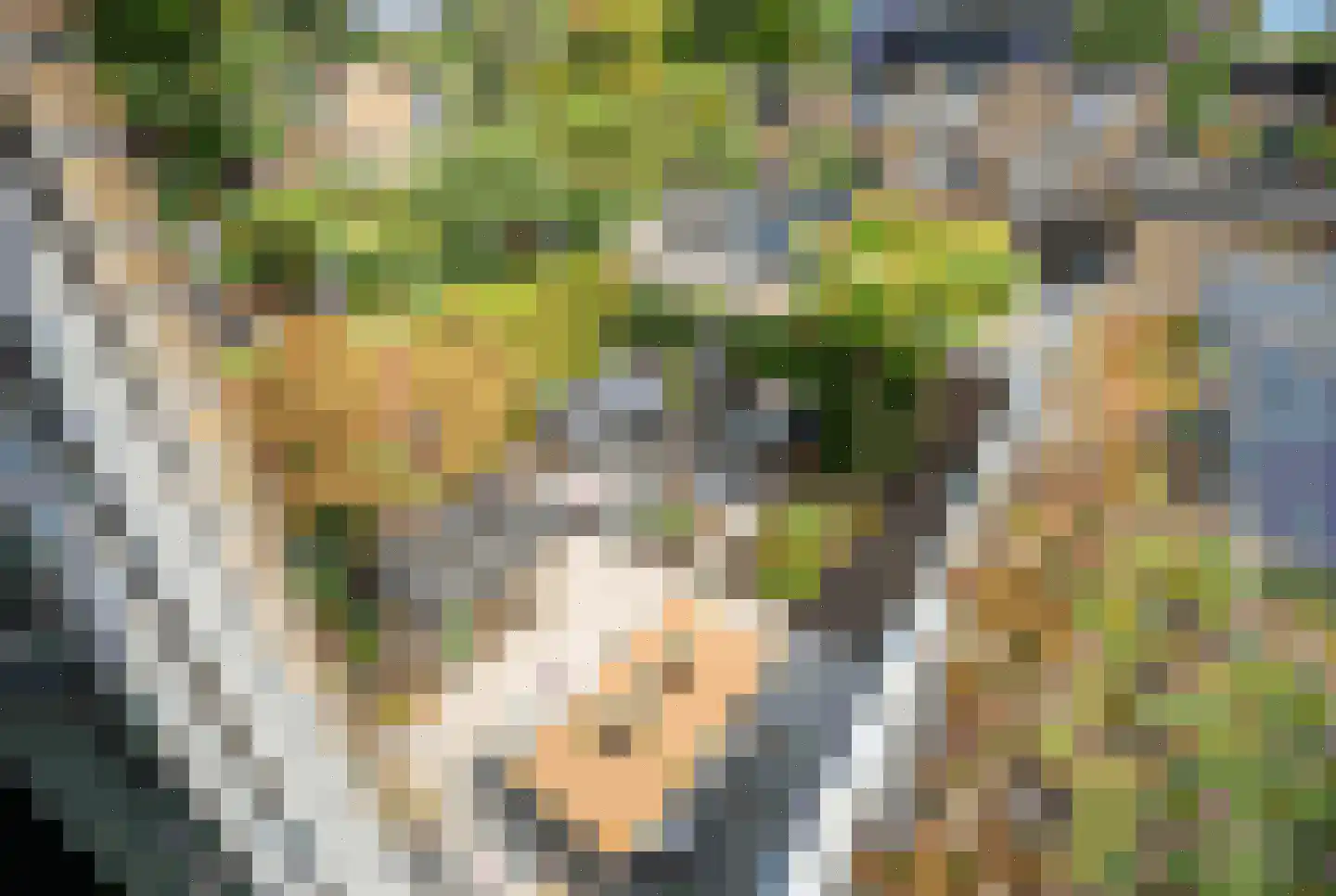 Rozentuin 230 Voorburg thumbnail 48