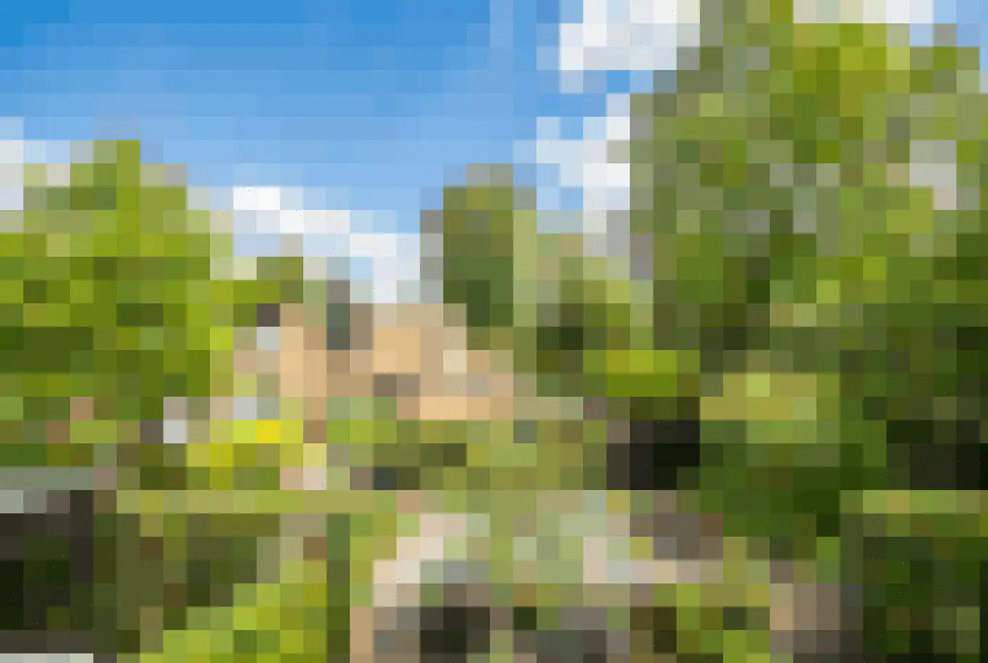 Rozentuin 230 Voorburg thumbnail 51
