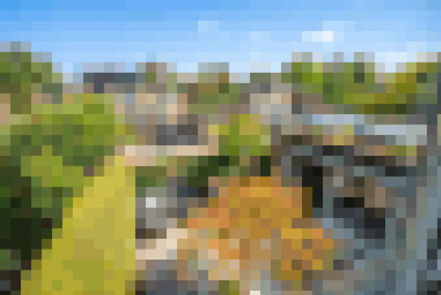Rozentuin 230 Voorburg thumbnail 54