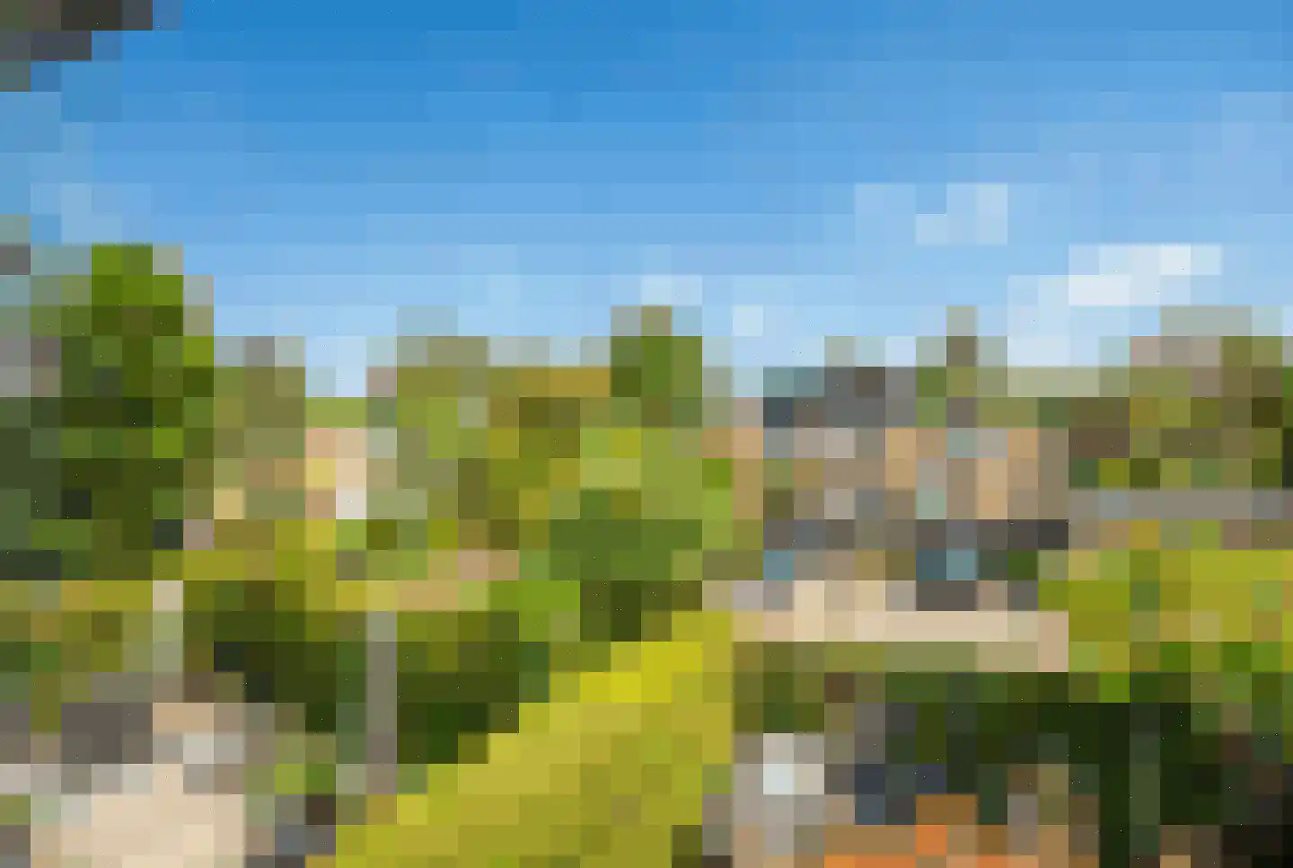 Rozentuin 230 Voorburg thumbnail 55