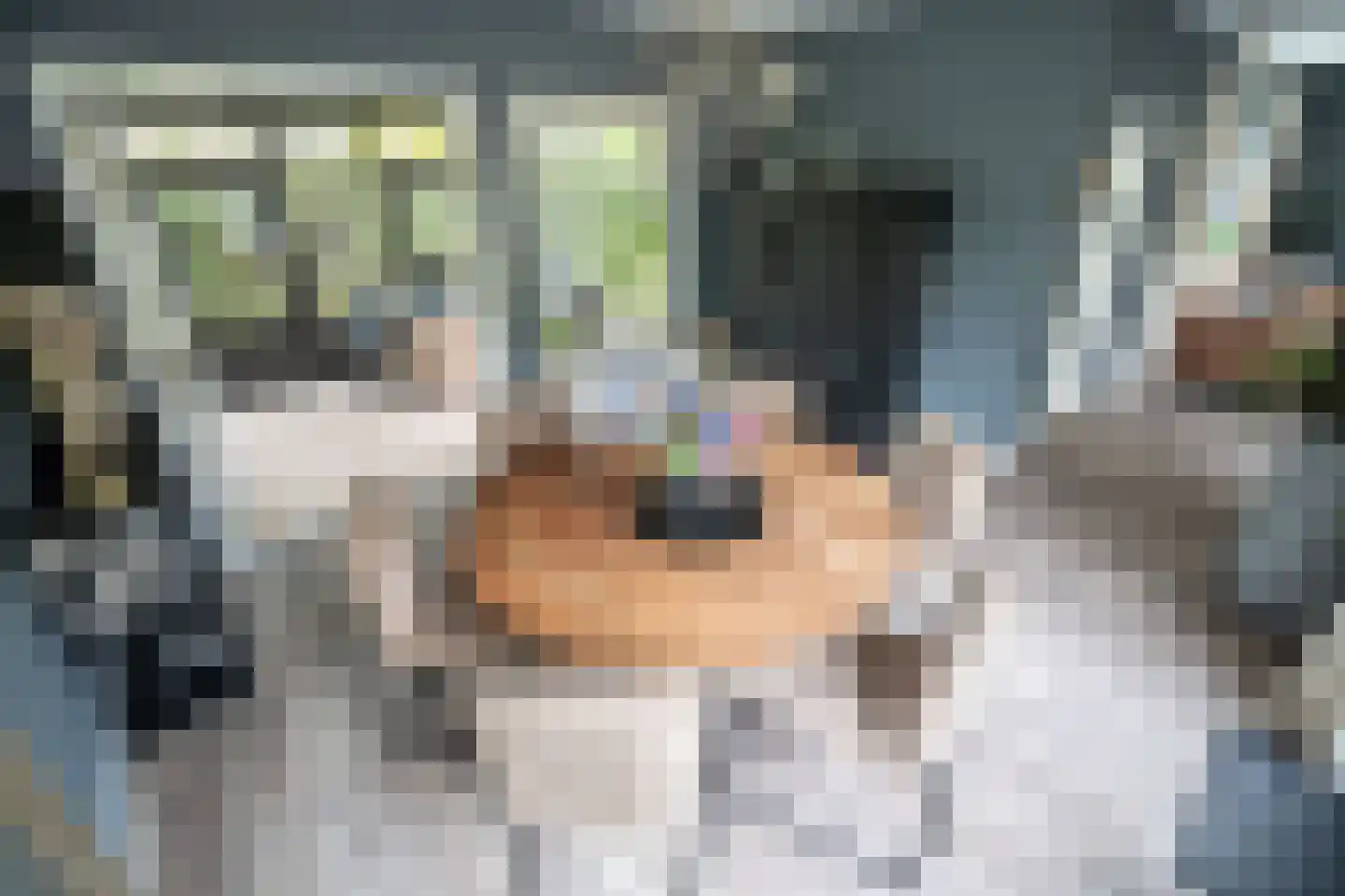 Rozentuin 230 Voorburg thumbnail 9