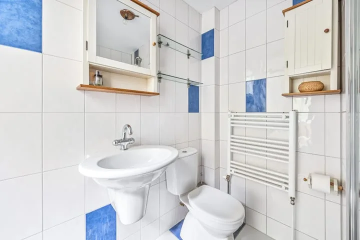 Rozentuin 252 Voorburg thumbnail 25