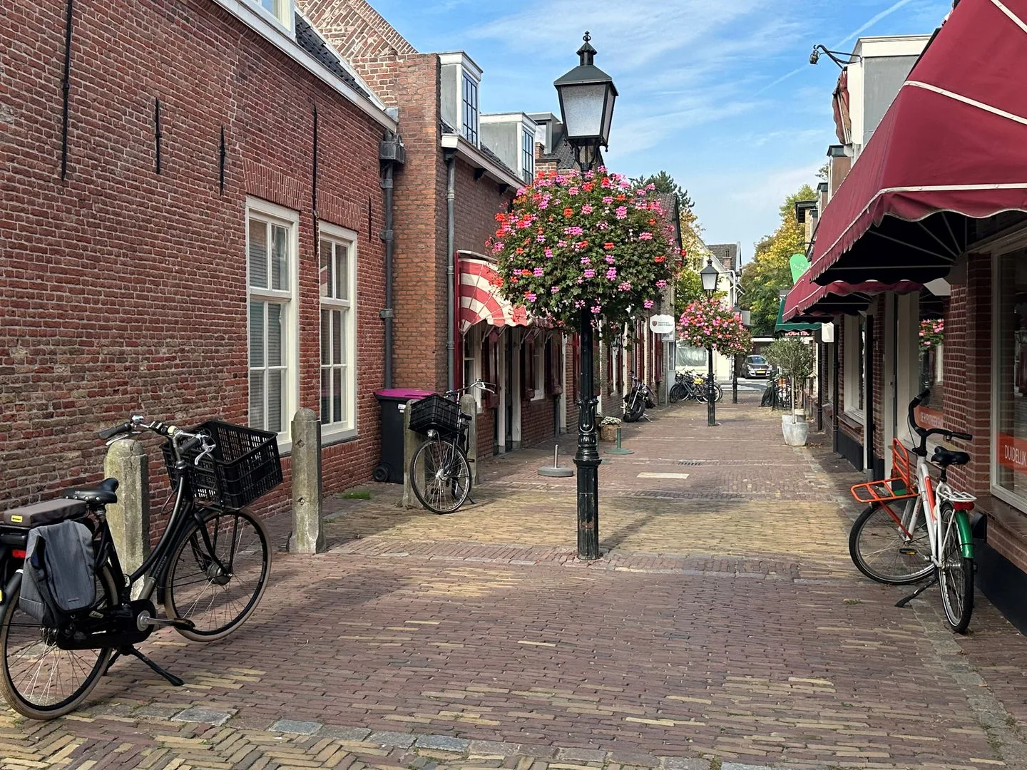Rozentuin 268 Voorburg thumbnail 35