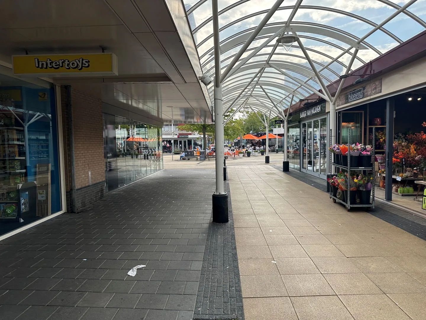 Rozentuin 268 Voorburg thumbnail 42