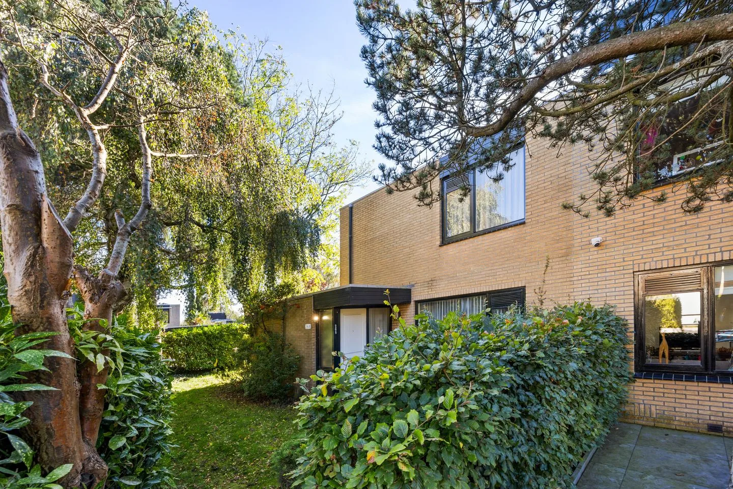 Rozentuin 268 Voorburg thumbnail 5