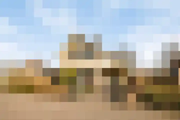 Rozentuin 27 Swifterbant