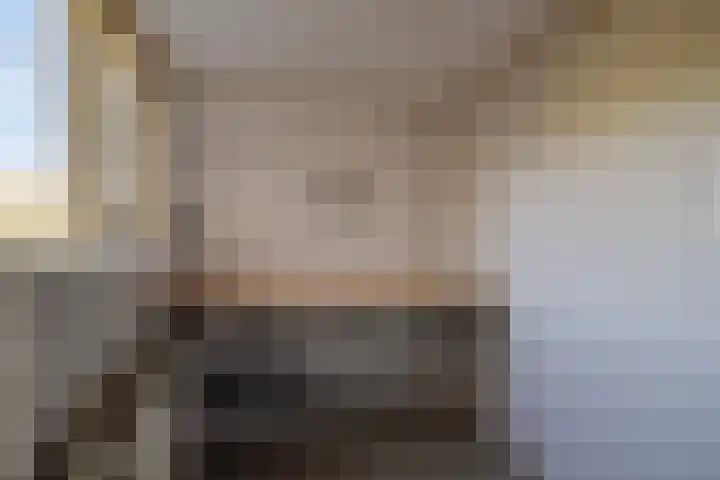 Rozentuin 27 Swifterbant thumbnail 20