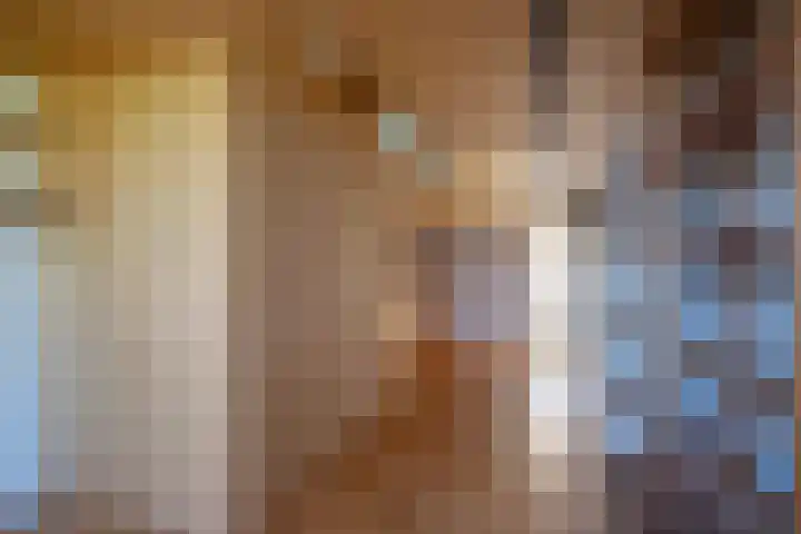 Rozentuin 27 Swifterbant thumbnail 22