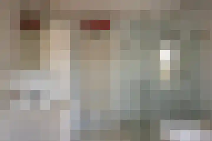 Rozentuin 27 Swifterbant thumbnail 27
