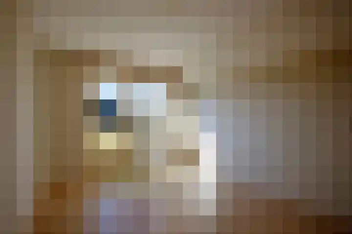 Rozentuin 27 Swifterbant thumbnail 30