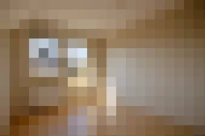 Rozentuin 27 Swifterbant thumbnail 32