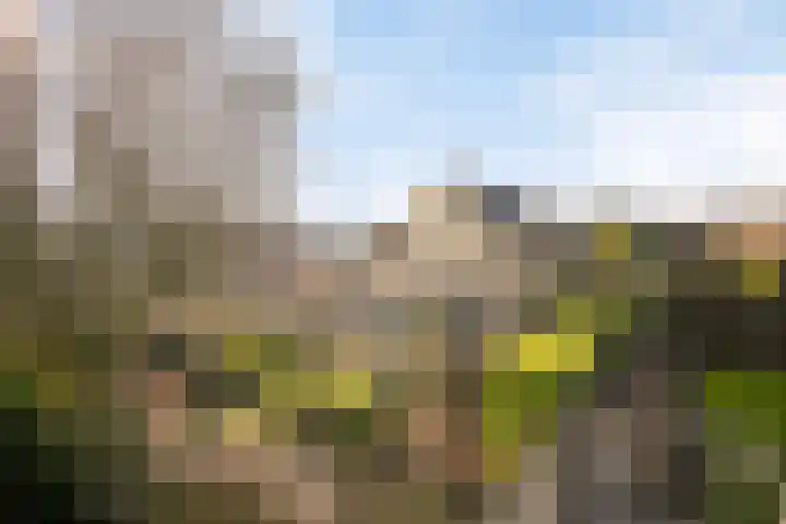 Rozentuin 27 Swifterbant thumbnail 44