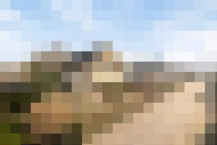 Rozentuin 27 Swifterbant thumbnail 46
