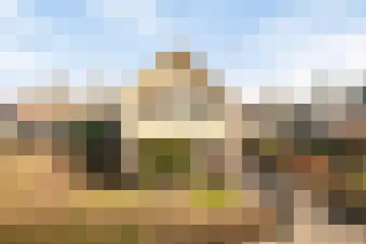 Rozentuin 27 Swifterbant thumbnail 47
