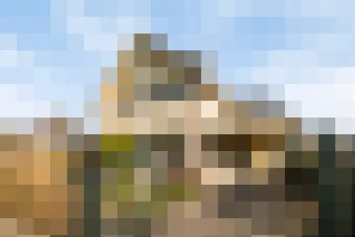 Rozentuin 27 Swifterbant thumbnail 5