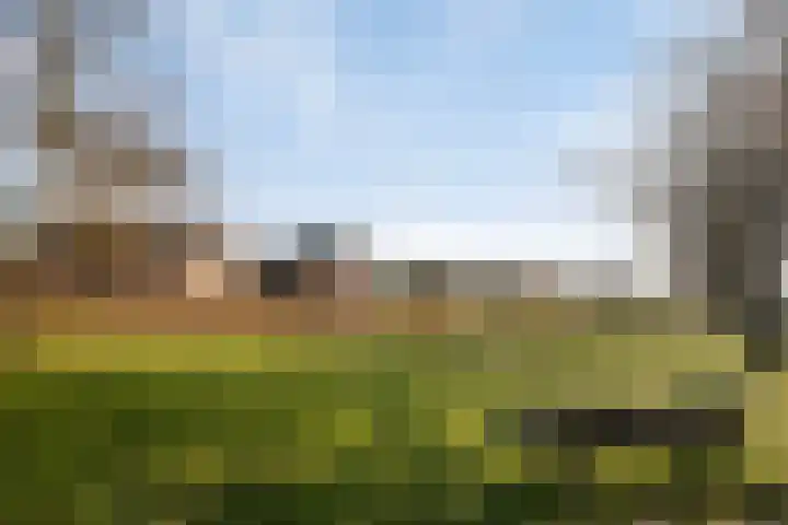 Rozentuin 27 Swifterbant thumbnail 51