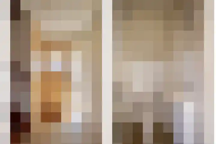 Rozentuin 27 Swifterbant thumbnail 7
