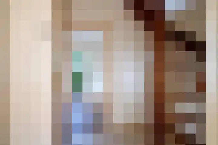 Rozentuin 27 Swifterbant thumbnail 8