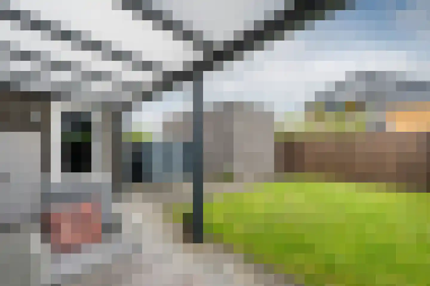 Rozentuin 38 Emmen thumbnail 32