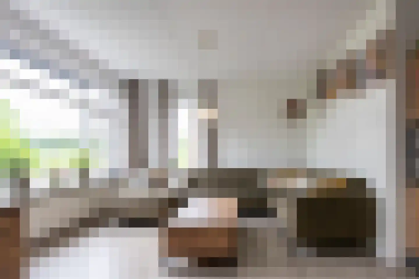 Rozentuin 38 Emmen thumbnail 4