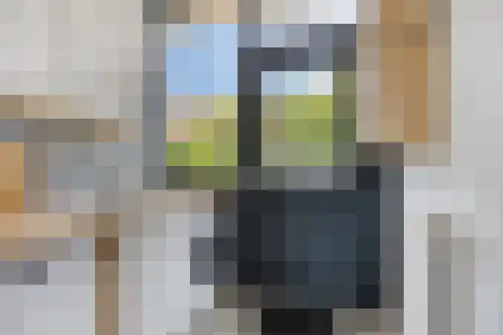 Rozentuin 4 Bergschenhoek thumbnail 10